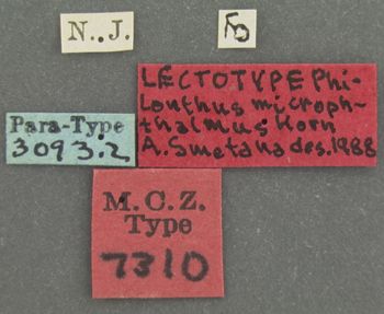 Media type: image;   Entomology 7310 Aspect: labels